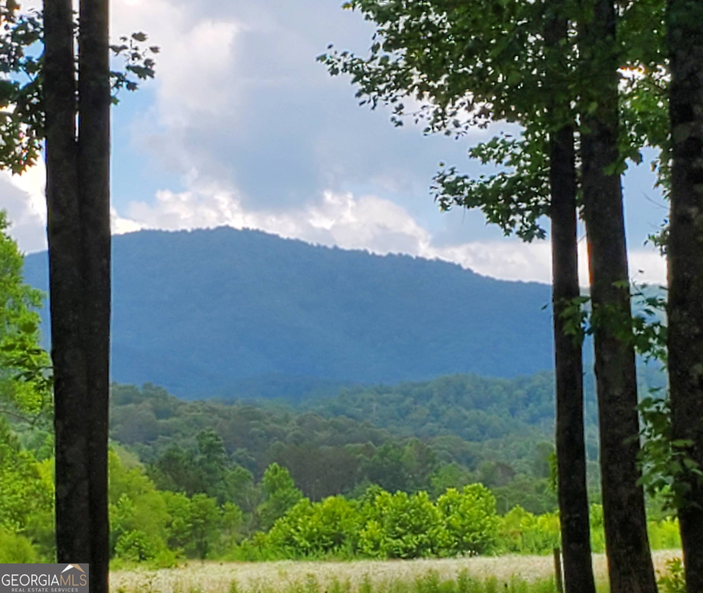 Ellijay, GA 30540,3349 Whitepath RD