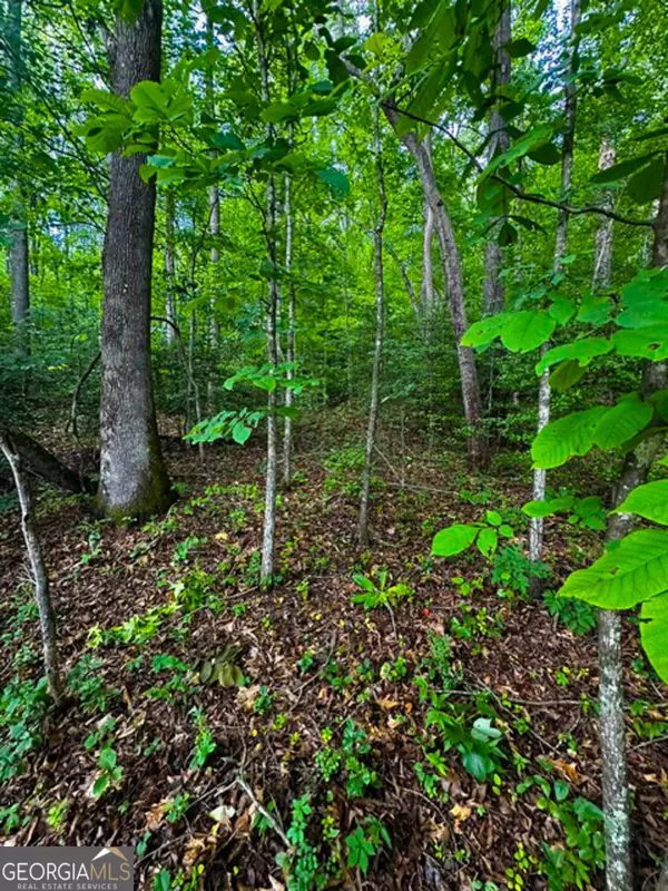 Dahlonega, GA 30533,0 Camp Wahsega RD
