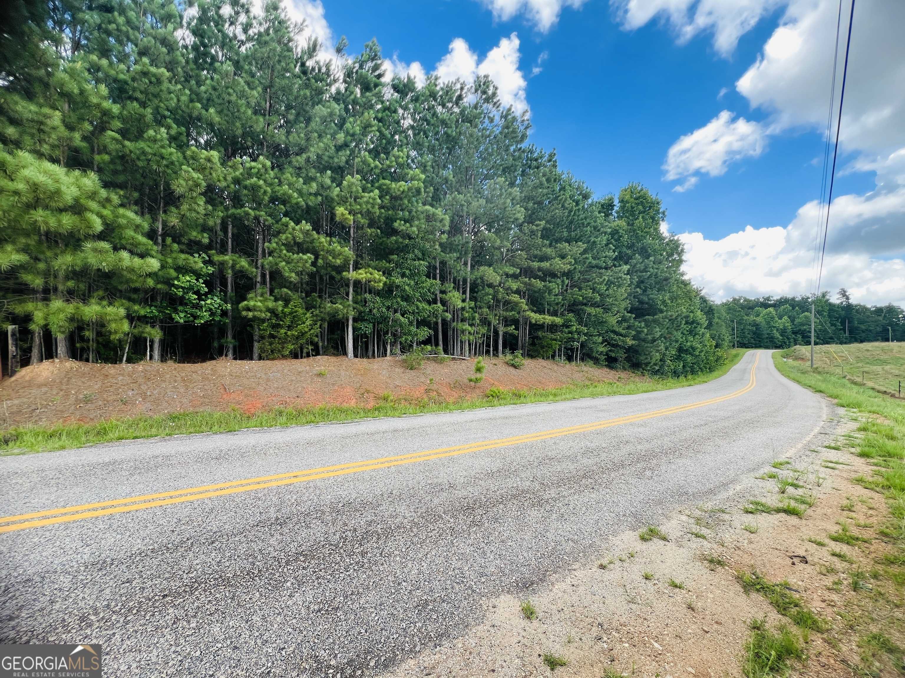 Colbert, GA 30628,0 Moriah Church Rd - 16.01 acres