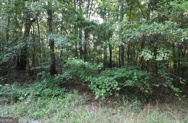 0 Kings Mill Road #6, Wrens, GA 30833