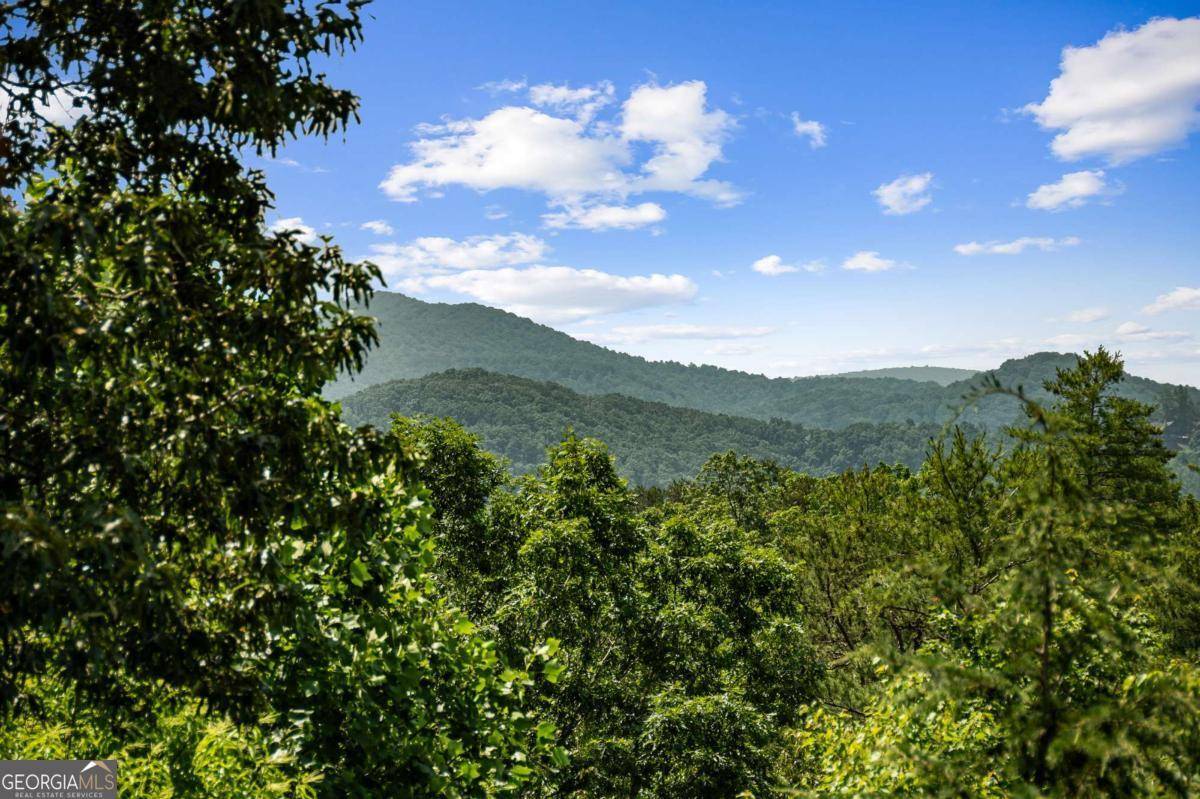 Blue Ridge, GA 30513,223 Mountain Tops RD