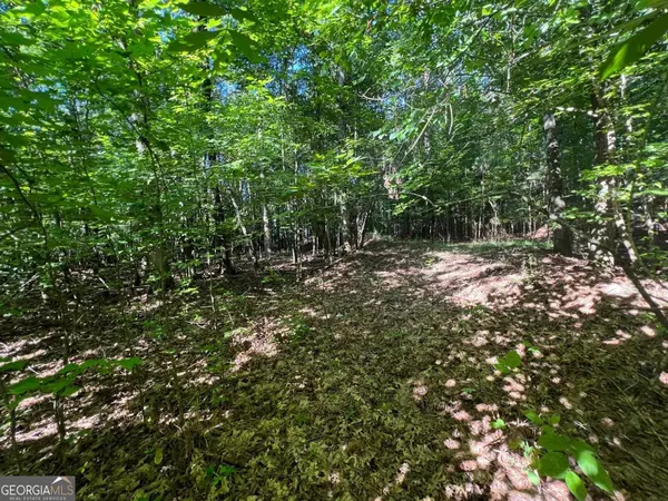 Eatonton, GA 31024,166 E River Bend DR