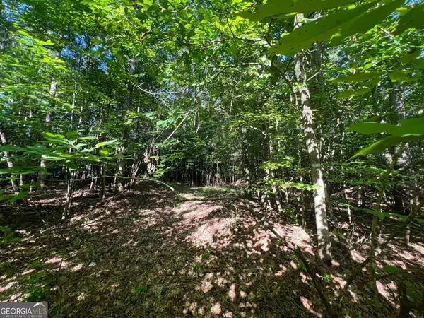 Eatonton, GA 31024,166 E River Bend DR