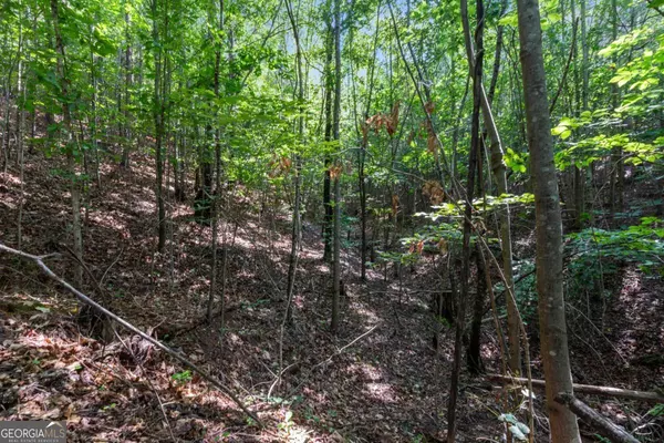 Alto, GA 30510,124 Cypress DR