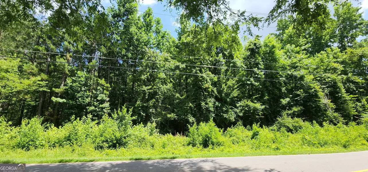 8225 Rivertown RD, Fairburn, GA 30213