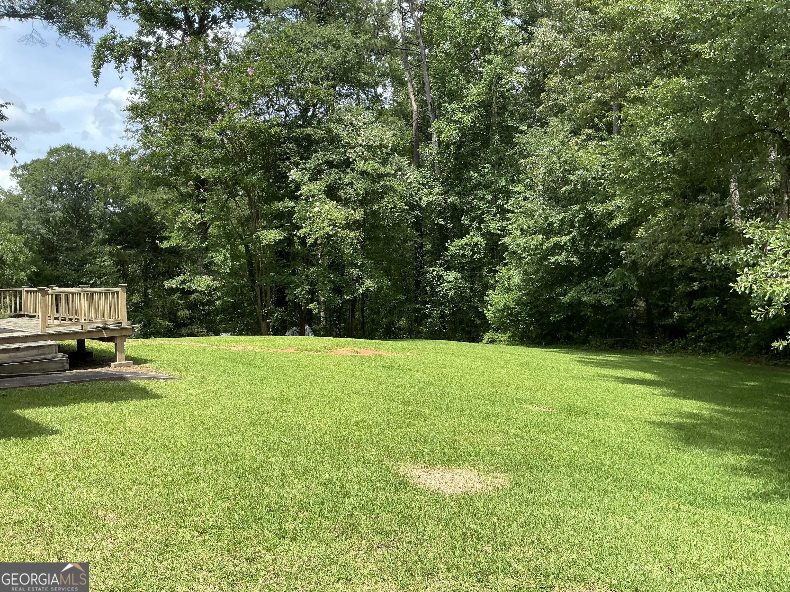Fayetteville, GA 30214,807 Oak Bridge LN