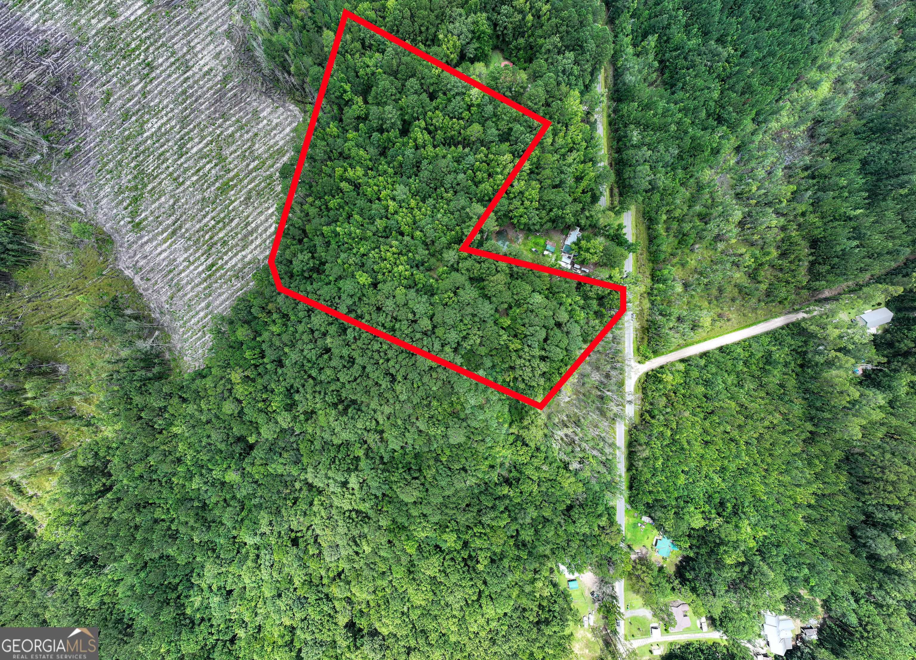 Townsend, GA 31331,1243 Credit Hill RD SW #5 ACRES