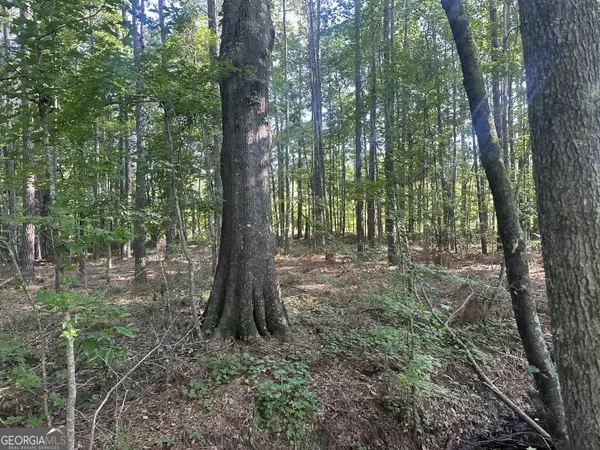 Sylvania, GA 30467,0 Burtons Ferry HWY