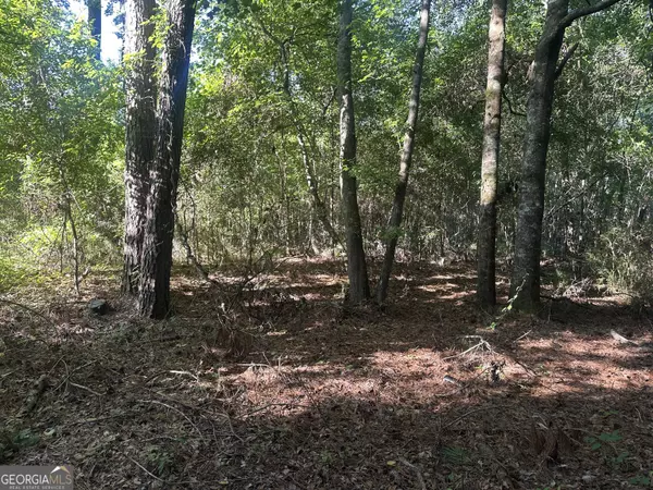 Sylvania, GA 30467,0 Burtons Ferry HWY