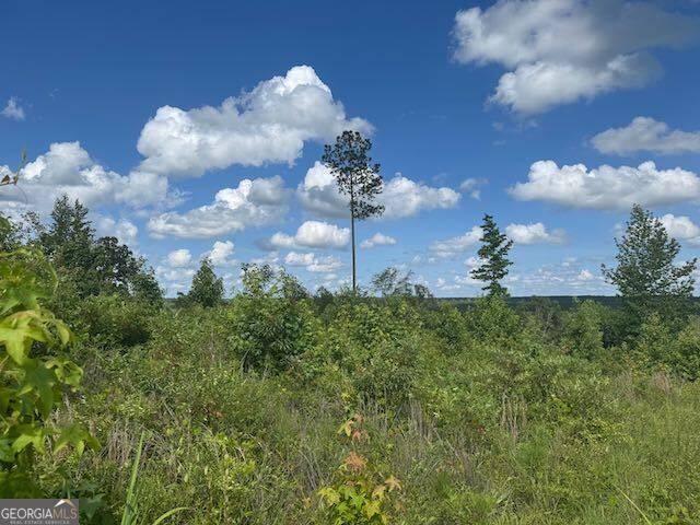 Tennille, GA 31089,LOT 10 Tennille Oconee RD