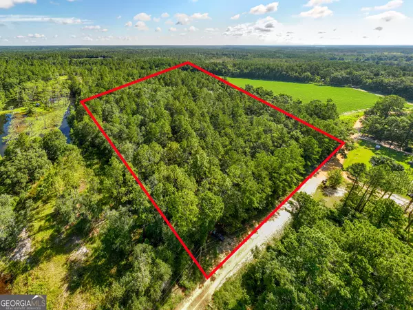 Quitman, GA 31643,12.05 ACRESS Roundtree RD