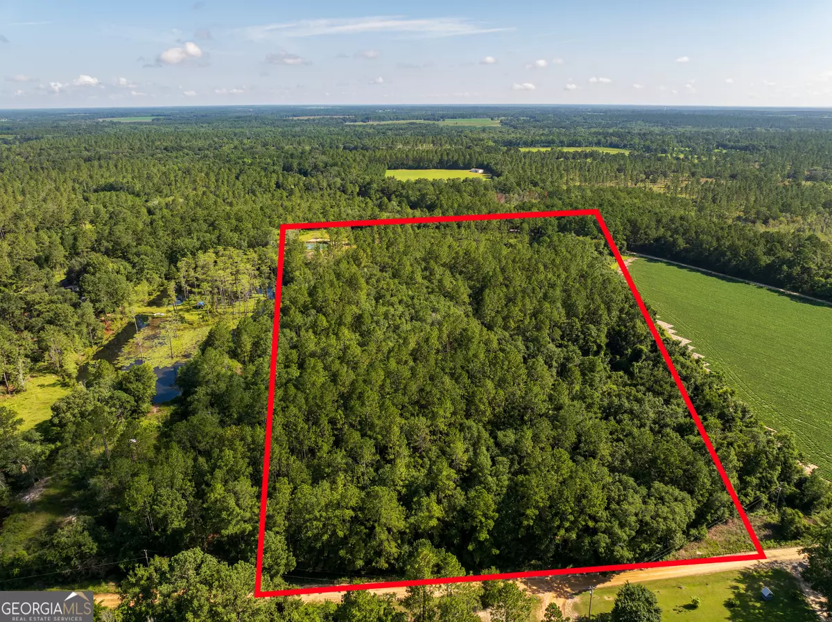 Quitman, GA 31643,12.05 ACRESS Roundtree RD