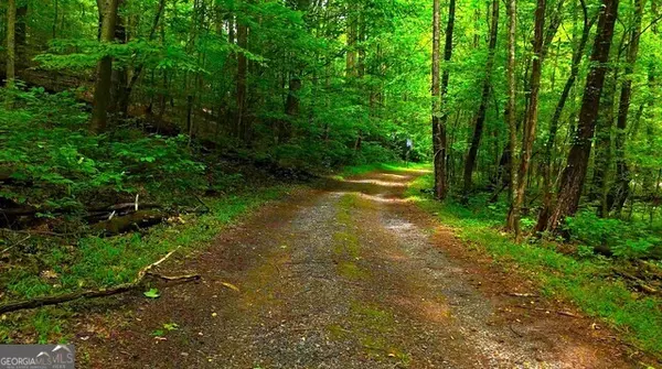 Ellijay, GA 30536,0 Nocona TRL