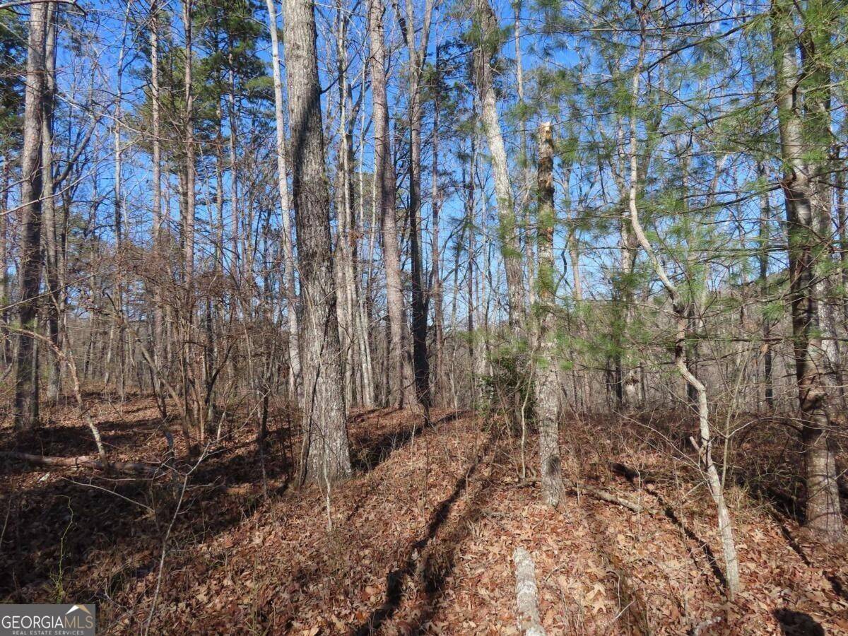 Talking Rock, GA 30175,LOT 1906 Finale Street