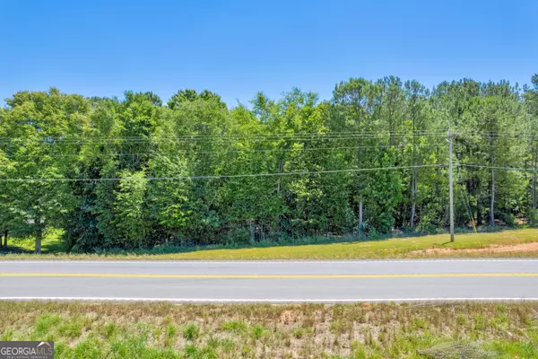 Carnesville, GA 30521,13747 Highway 59