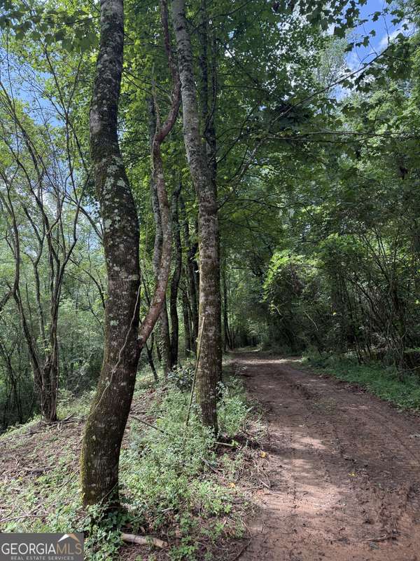 683 Jess Hunt RD, Cleveland, GA 30528