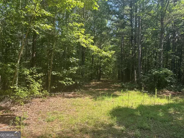 Dahlonega, GA 30533,1A Patriot View DR