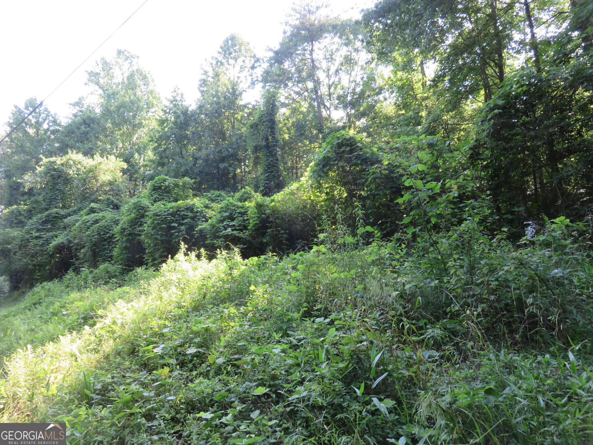 Sautee Nacoochee, GA 30571,570 Rabun RD