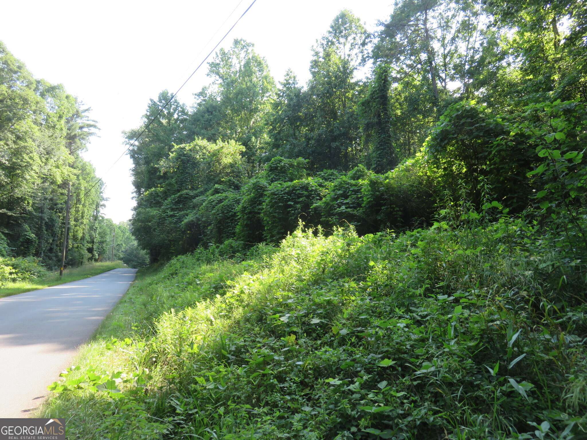 Sautee Nacoochee, GA 30571,570 Rabun RD