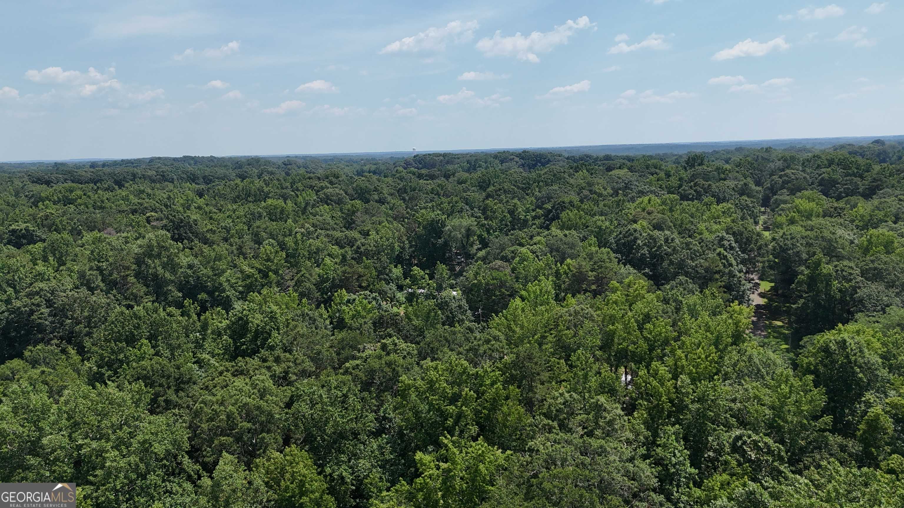 Danielsville, GA 30633,255 Hillwood DR ## 1