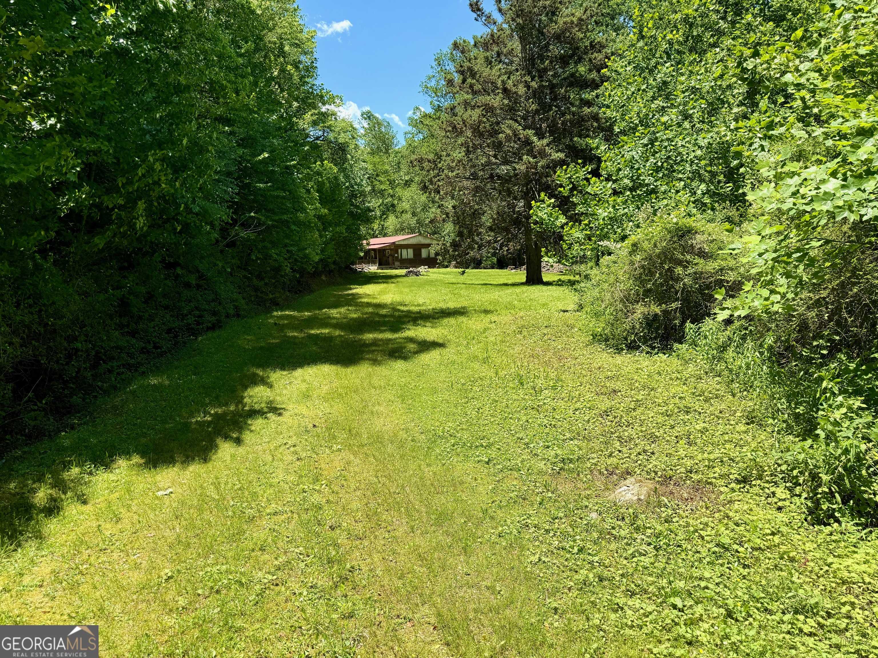 Dillard, GA 30537,92 Shope Rd