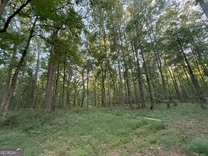 4 Watsons Mill RD, Comer, GA 30629