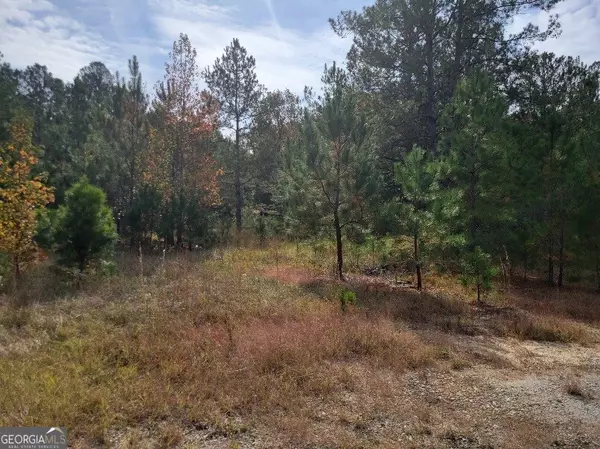 Wrightsville, GA 31096,691 W Trilby ST