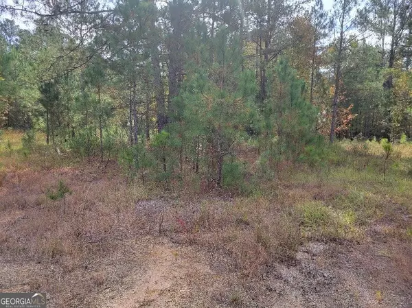 Wrightsville, GA 31096,691 W Trilby ST