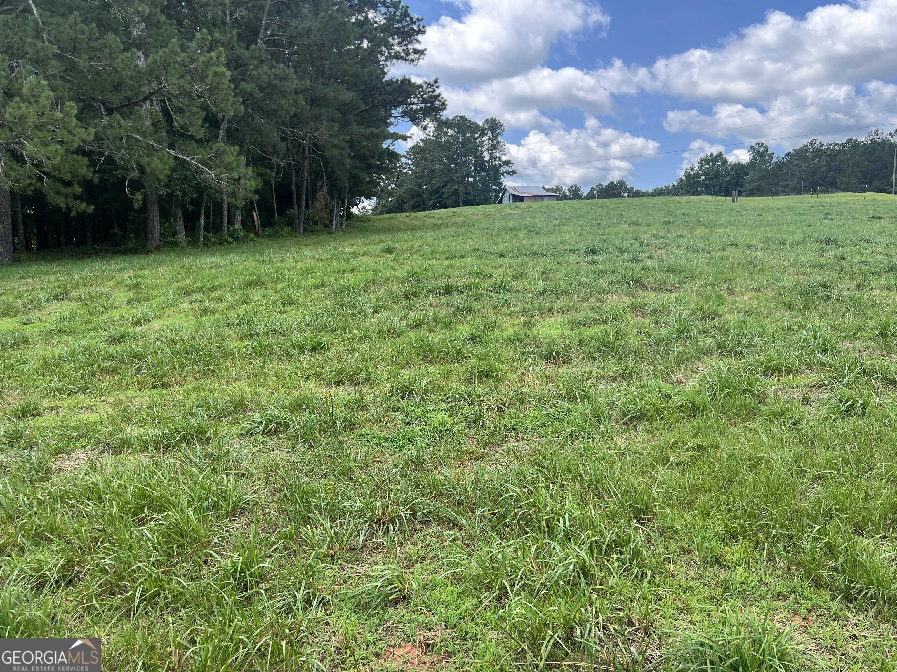 Roopville, GA 30170,0 Unity RD