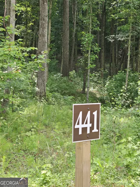0 Twisted Oak RD, Talking Rock, GA 30175
