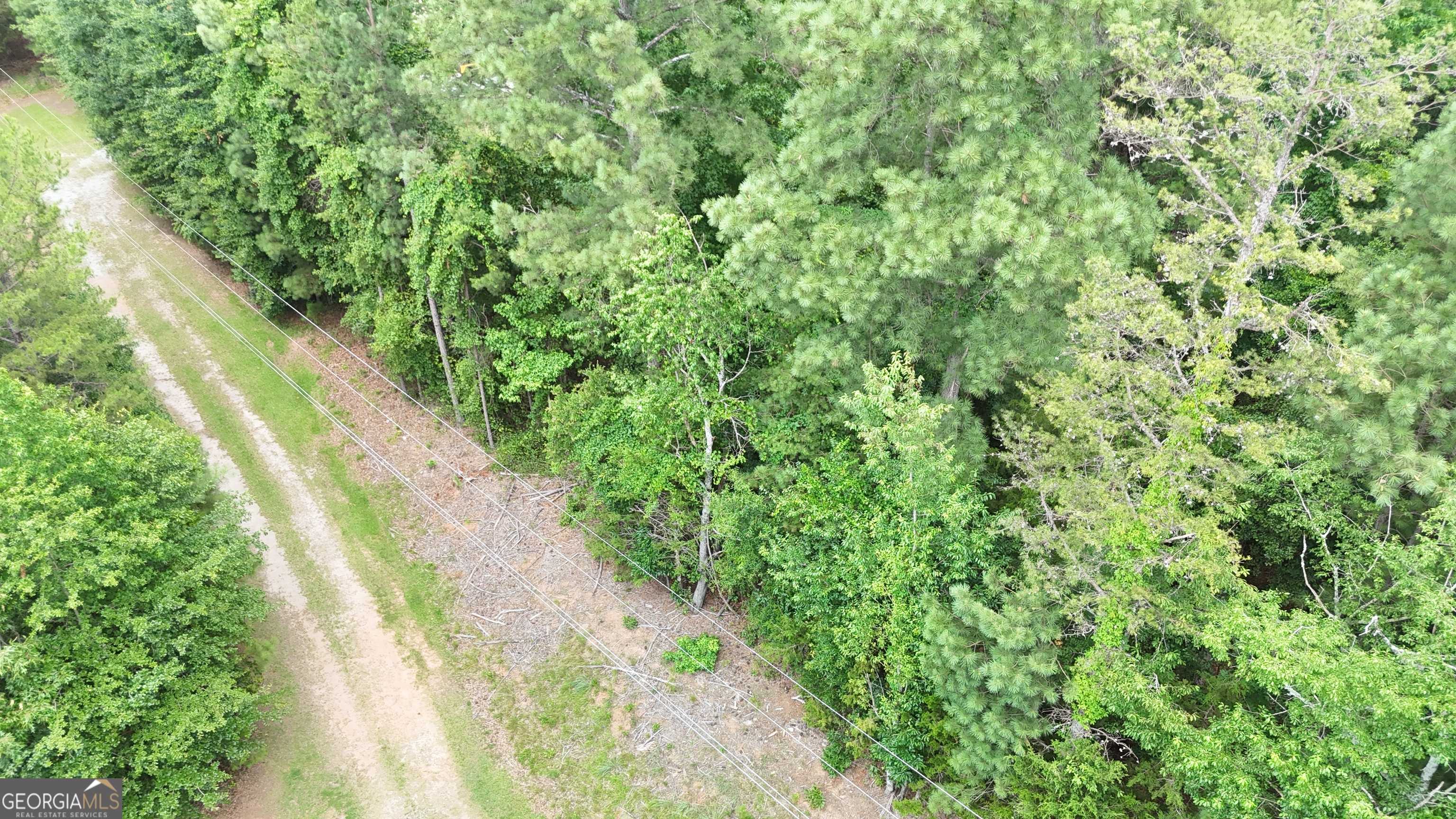 Hartwell, GA 30643,0 Piney Wood