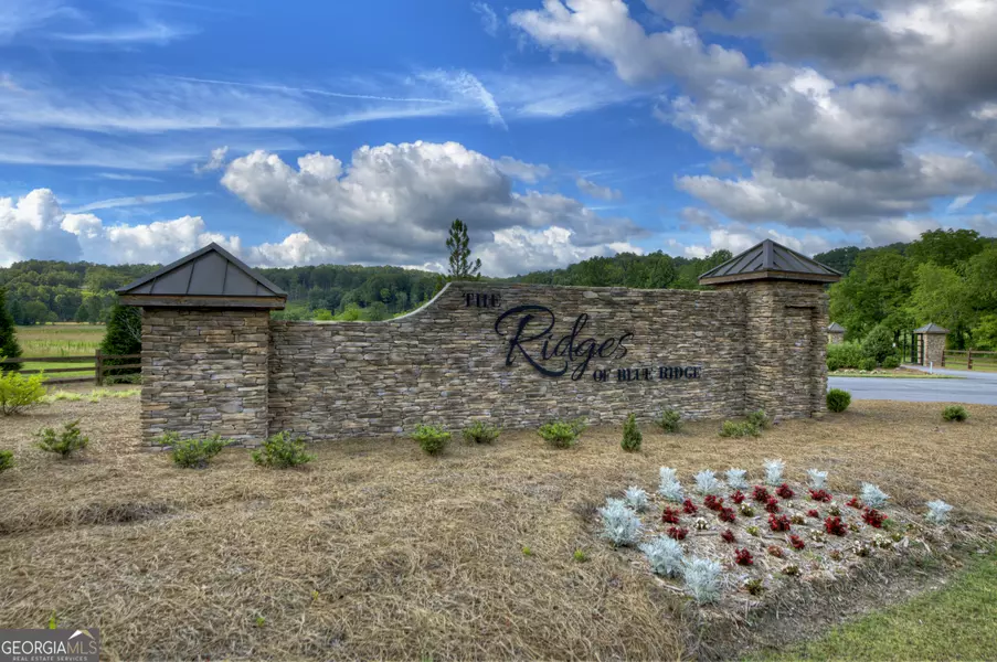 190 Split Creek, Morganton, GA 30560