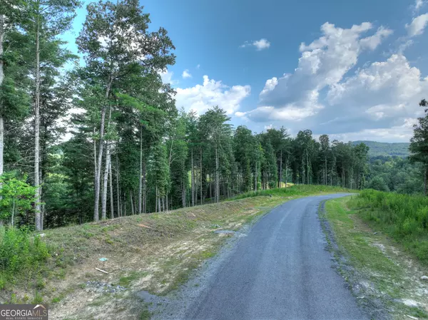 Morganton, GA 30560,190 Split Creek