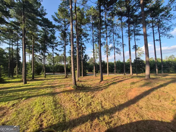 Hillsboro, GA 31038,366 Firetower RD