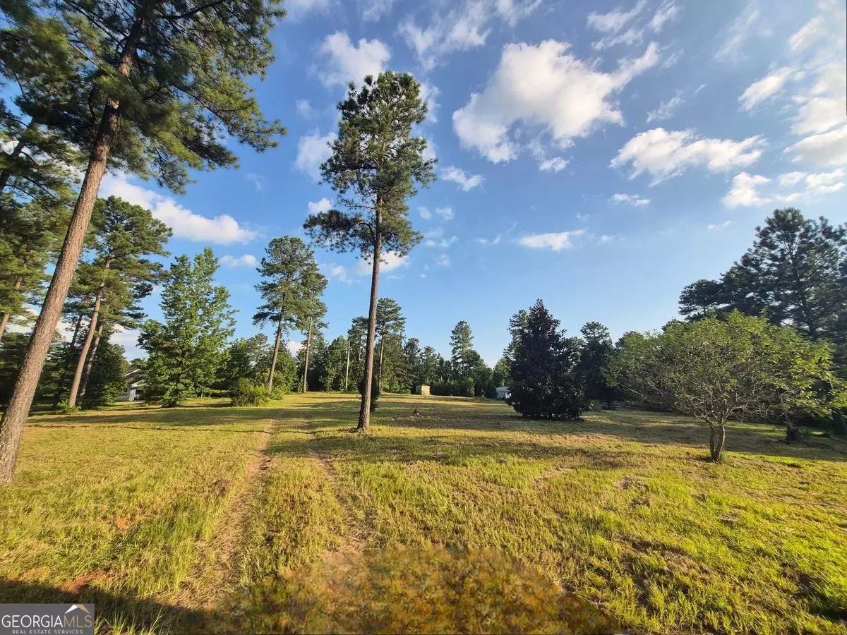 Hillsboro, GA 31038,366 Firetower RD