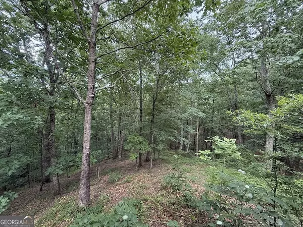 Baldwin, GA 30511,600 Ivory DR