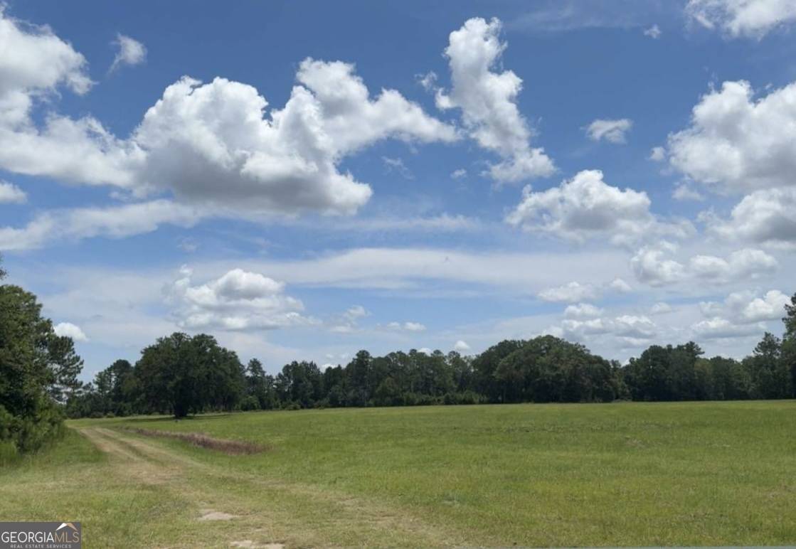 35+ ACRES Wells RD, Hinesville, GA 31313