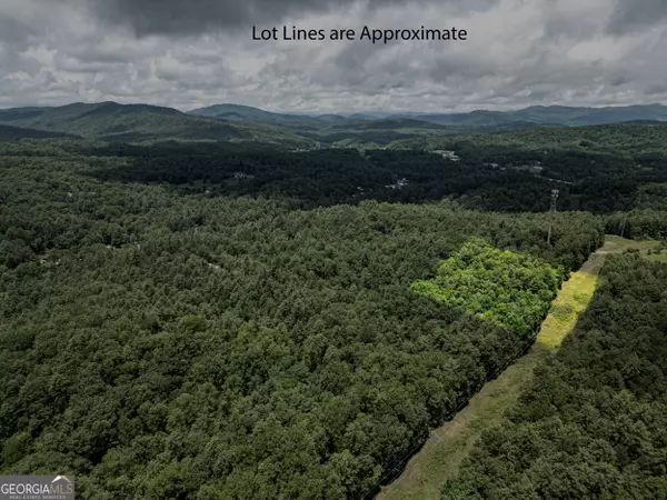 Lakemont, GA 30552,0 Bear Cave TRL