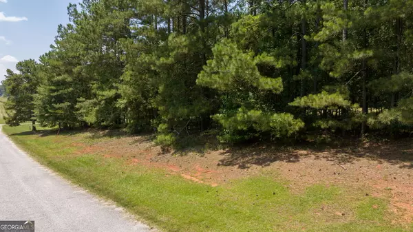 Statham, GA 30666,0 Old Hunter RD #TRACT 5
