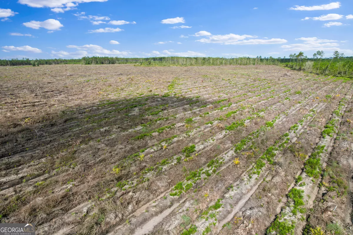 Odum, GA 31555,TRACT 3 Morris Break RD