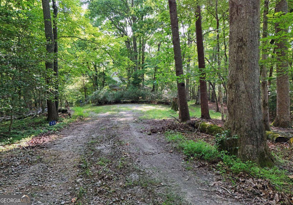 Mineral Bluff, GA 30559,248 Dogwood Ridge RD
