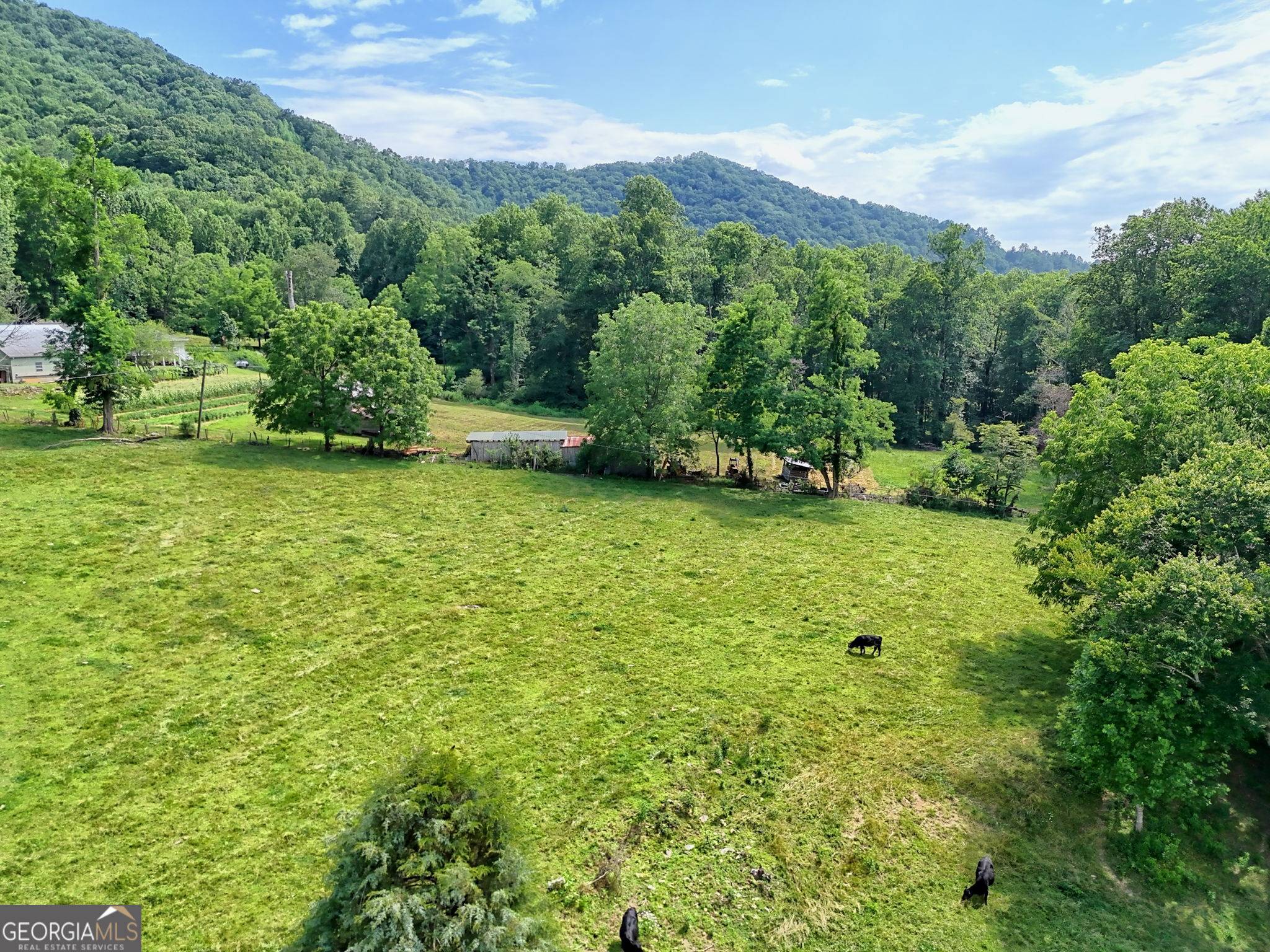 Rabun Gap, GA 30568,0 Ponderosa Road