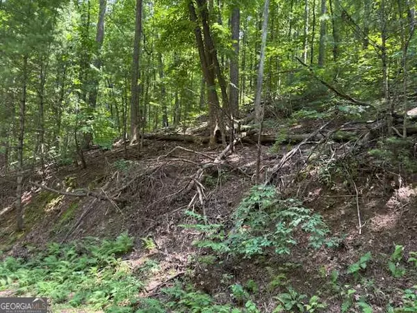 Ellijay, GA 30536,0 Mountain View CT
