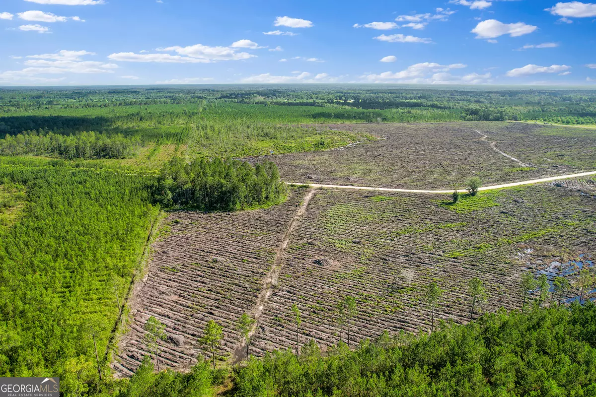 Odum, GA 31555,TRACT 4 Morris Break RD