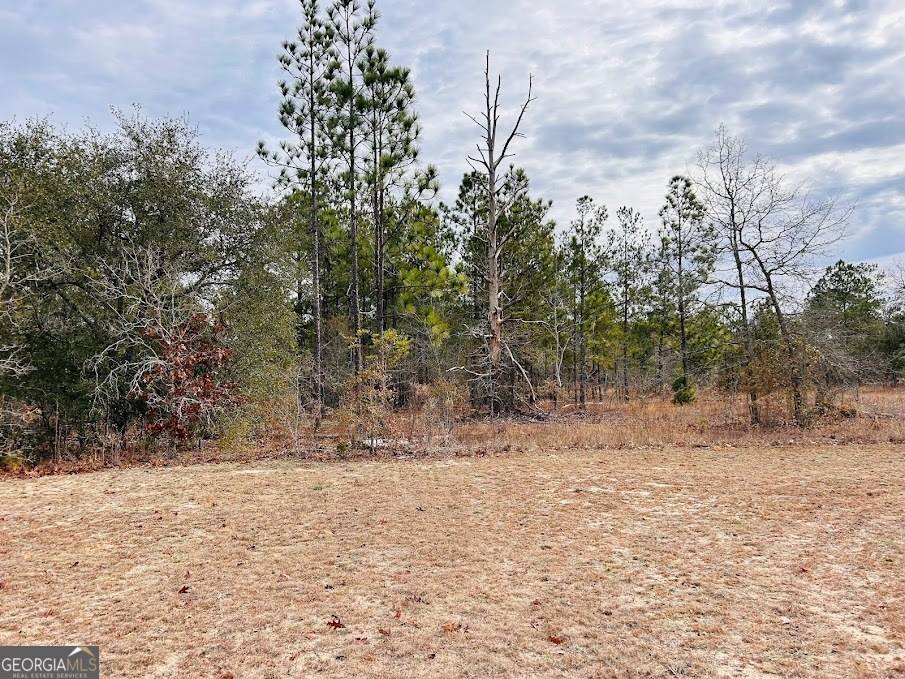 Butler, GA 31006,0 Georgia Road