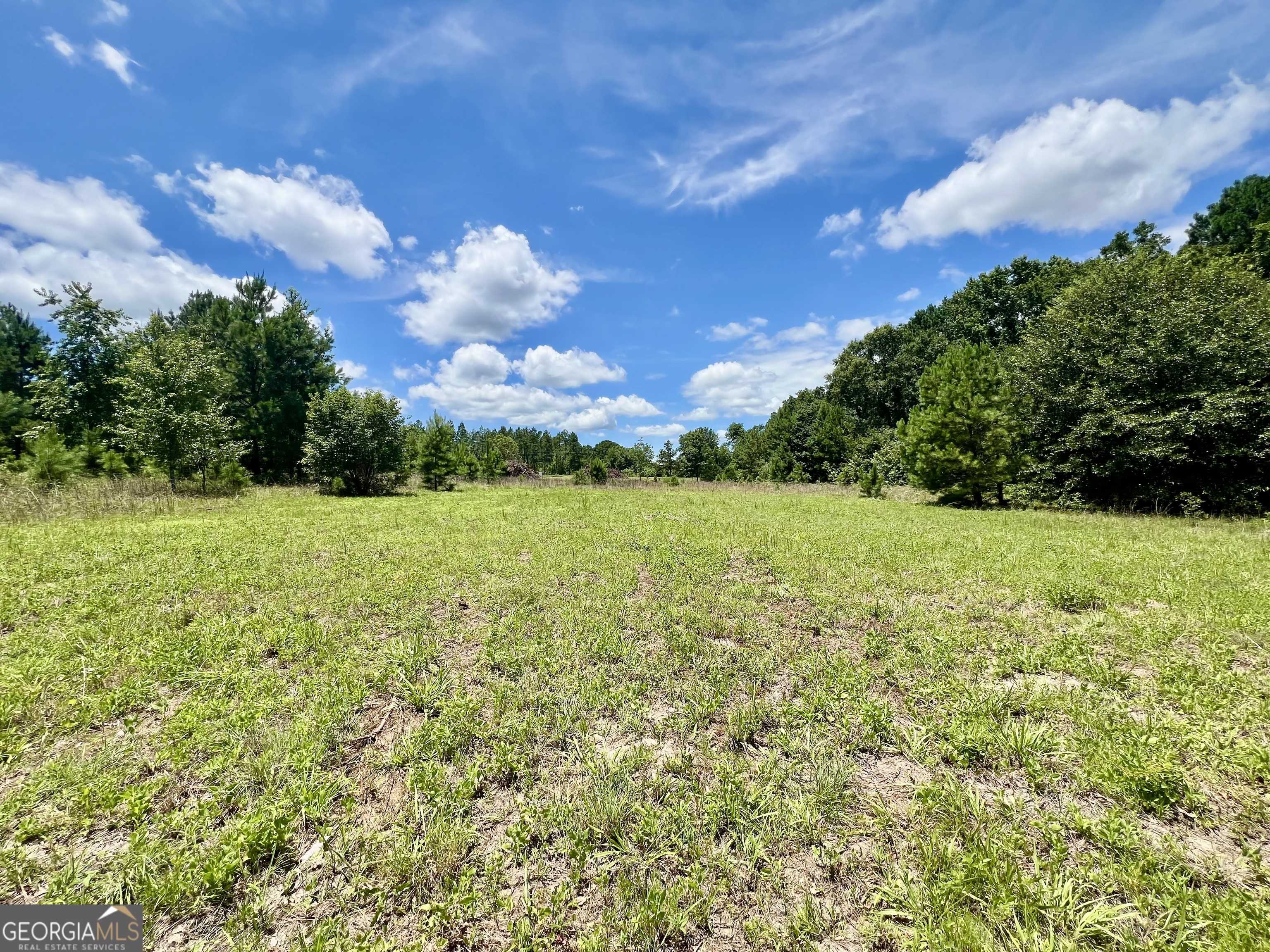 Dexter, GA 31019,0 Mark Wood RD