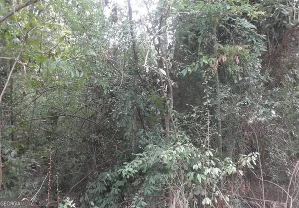 0 Waters ST, Monticello, GA 31064