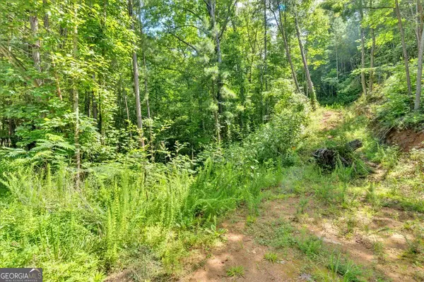 Talking Rock, GA 30175,0 Whitestone DR