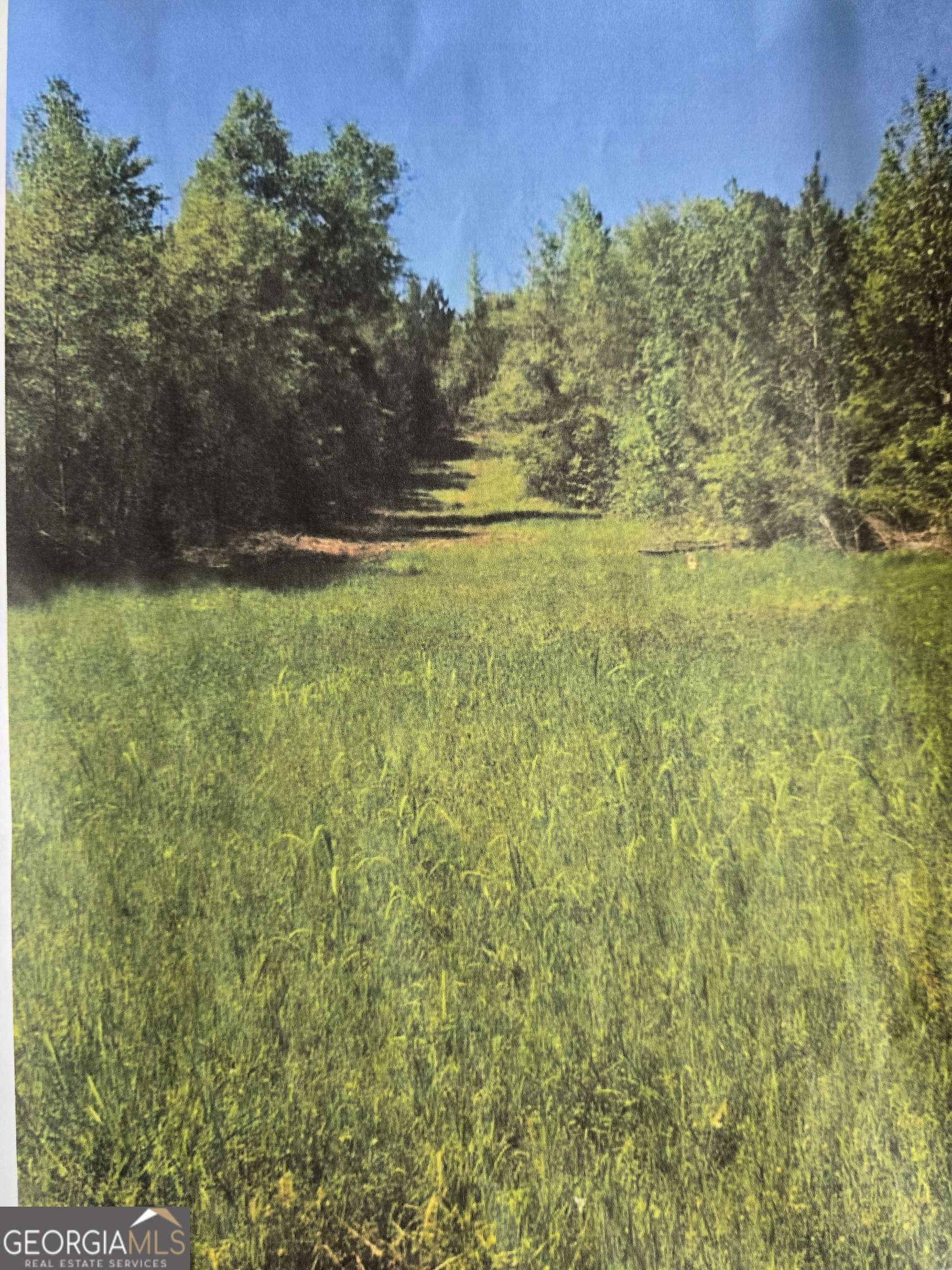 Monticello, GA 31064,0 Apt-To-Miss RD