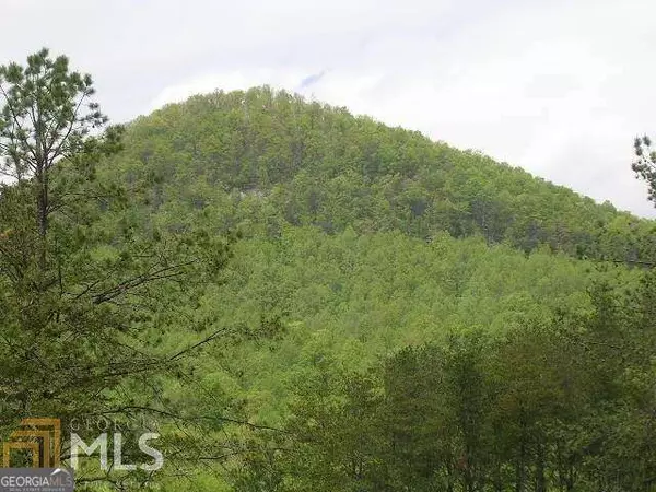 Tiger, GA 30576,0 River Birch LN #LOT 32